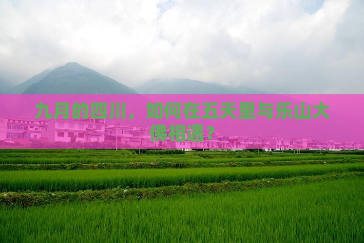 九月的四川，如何在五天里与乐山大佛相遇？
