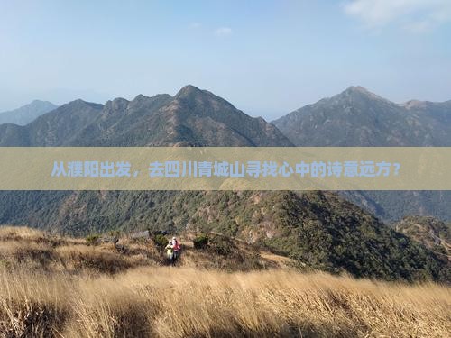 从濮阳出发，去四川青城山寻找心中的诗意远方？