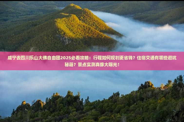 咸宁去四川乐山大佛自由团