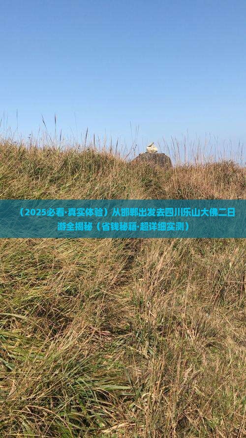 邯郸到四川乐山大佛二日游