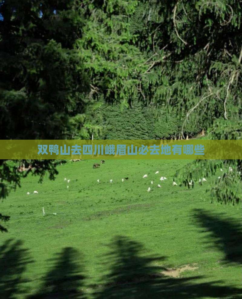 双鸭山去四川峨眉山必去地