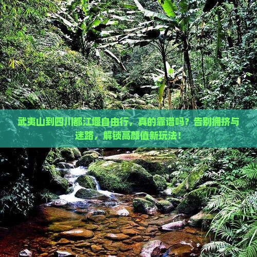 武夷山到四川都江堰自由行