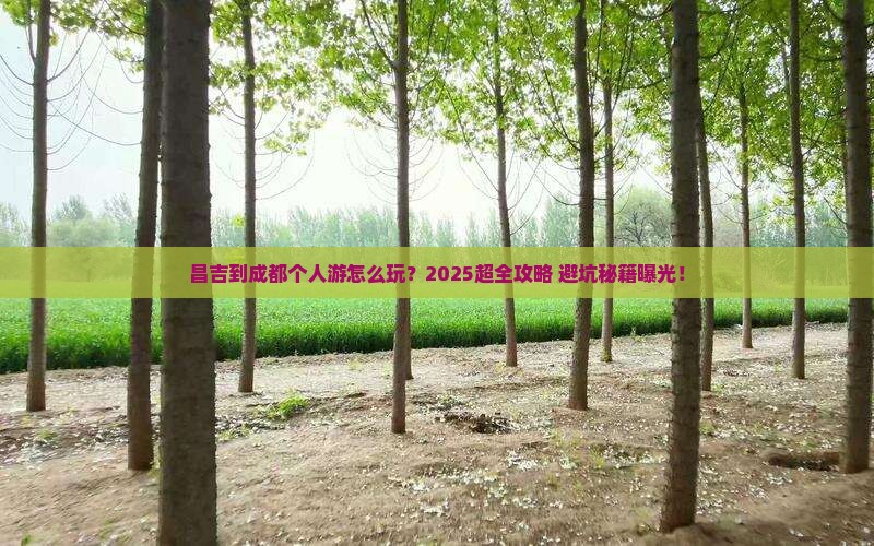 昌吉到四川成都个人游