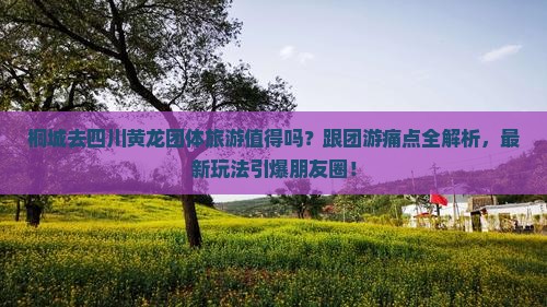 桐城去四川黄龙团体旅游 桐城去四川黄龙团体旅游