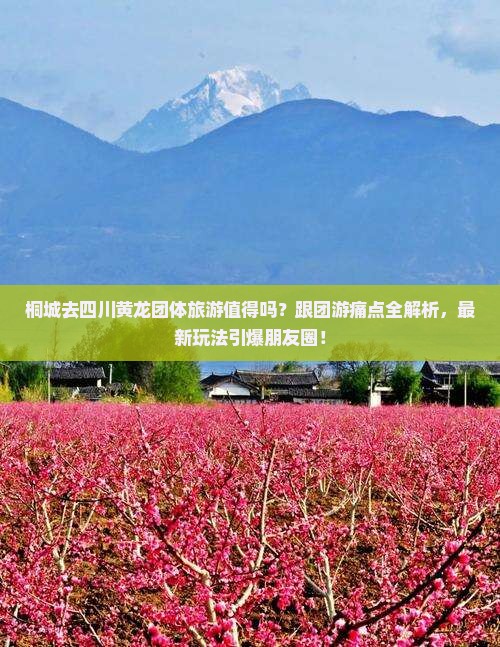 桐城去四川黄龙团体旅游 桐城去四川黄龙团体旅游