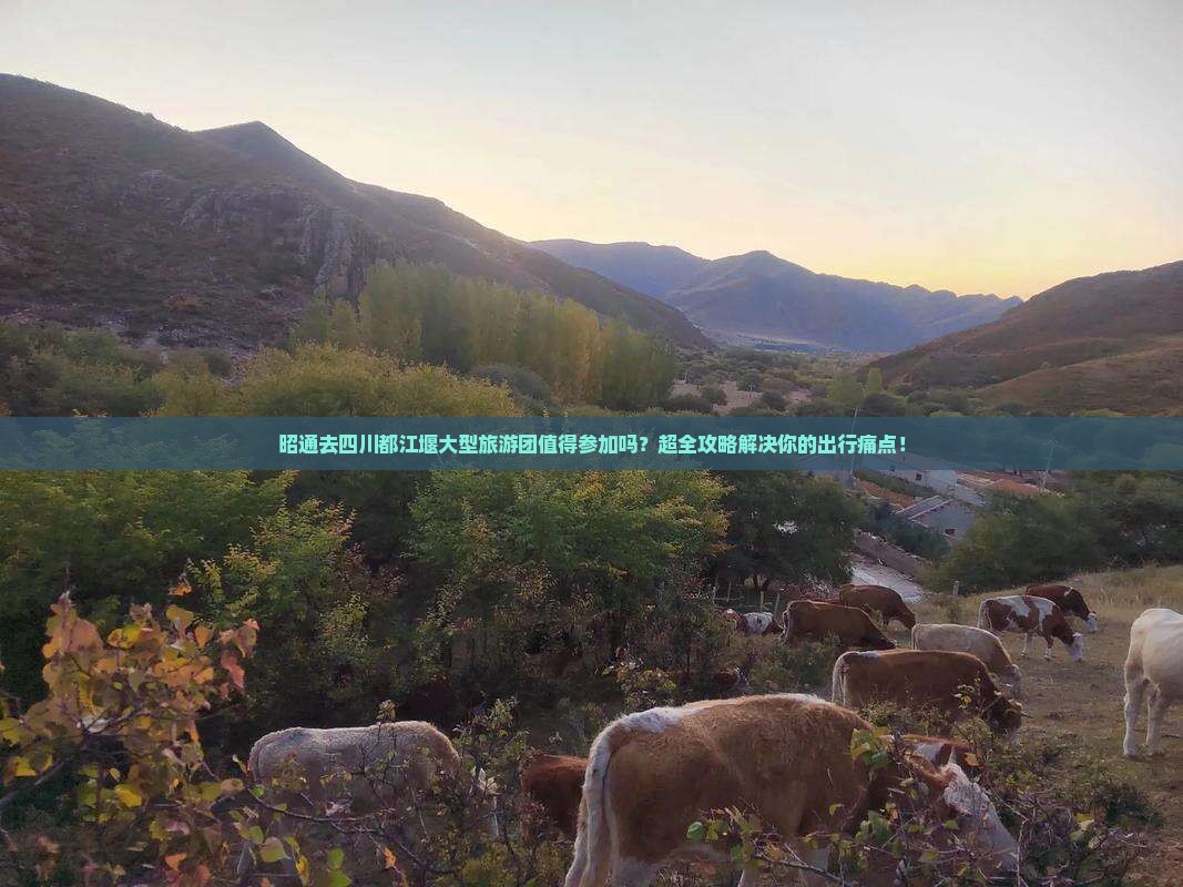 昭通去四川都江堰大型旅游团