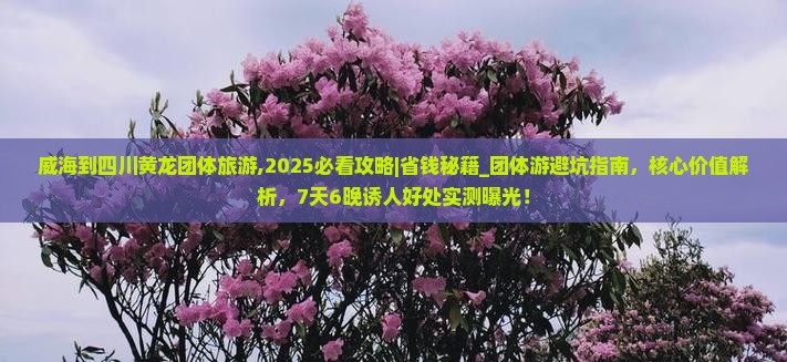 威海到四川黄龙团体旅游