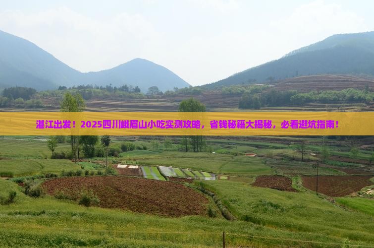 湛江去四川峨眉山旅游小吃
