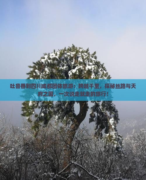 吐鲁番到四川成都团体旅游