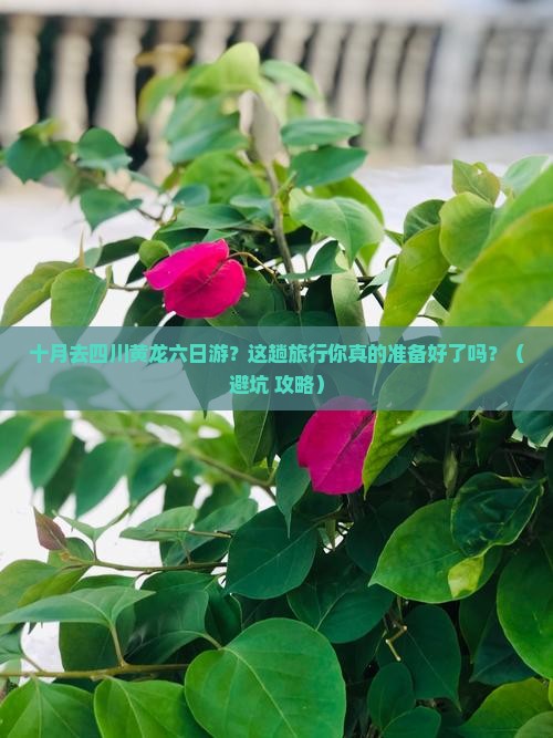 十月去四川黄龙六日游