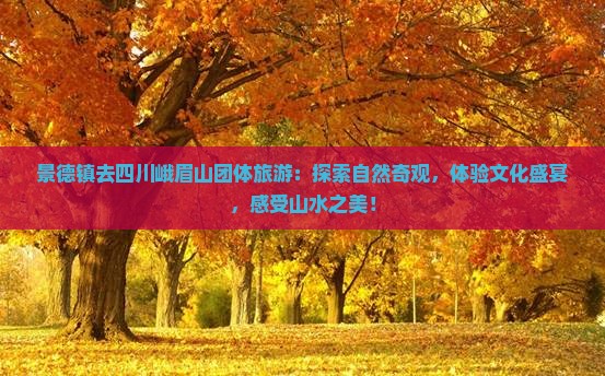 景德镇去四川峨眉山团体旅游