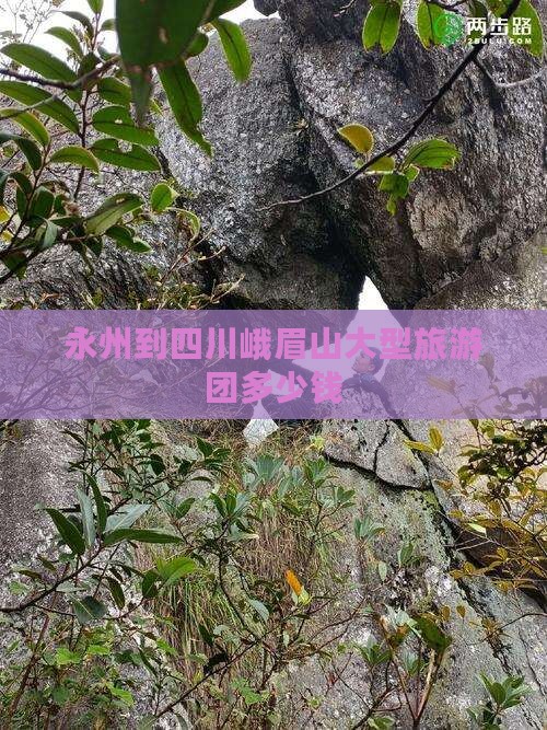 永州到四川峨眉山大型旅游团