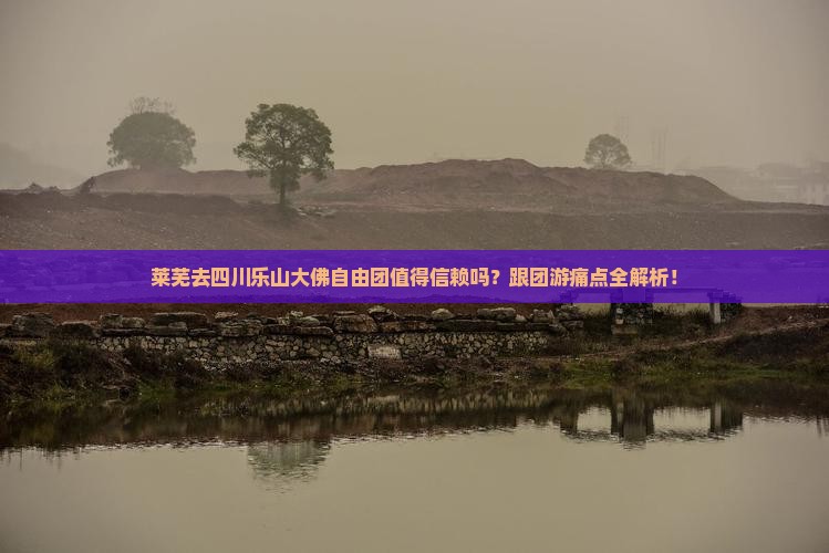 莱芜去四川乐山大佛自由团