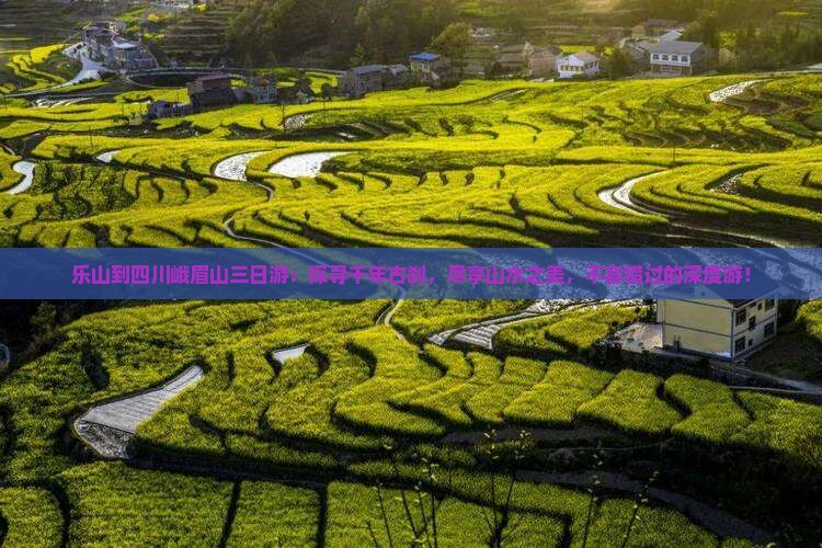 乐山到四川峨眉山三日游