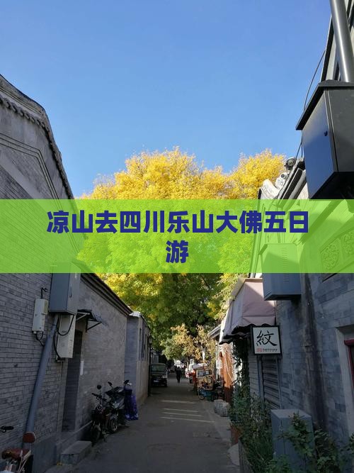凉山去四川乐山大佛五日游