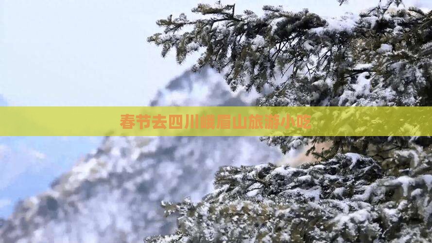 春节去四川峨眉山旅游小吃