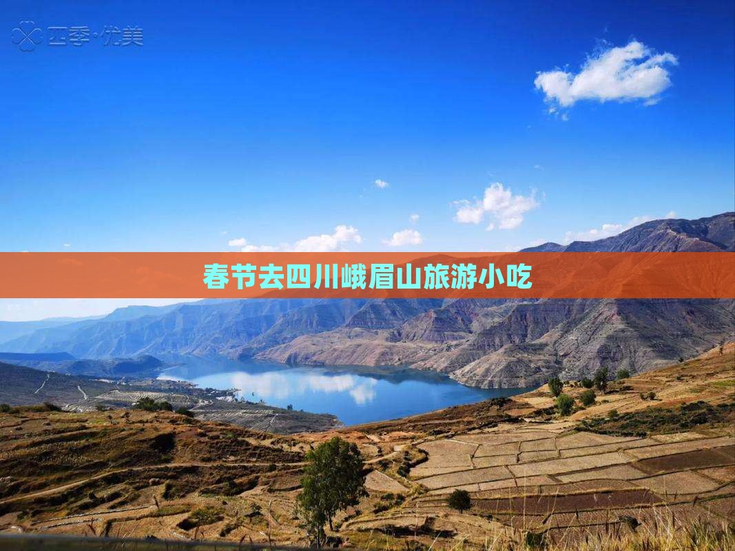 春节去四川峨眉山旅游小吃