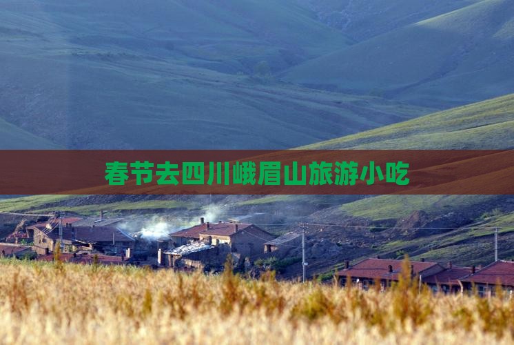 春节去四川峨眉山旅游小吃