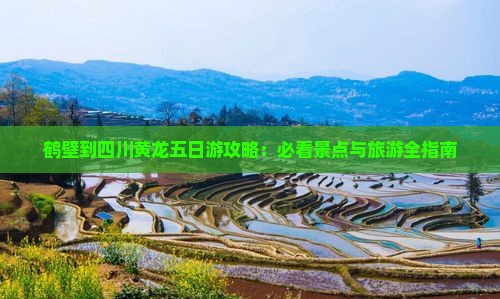 鹤壁到四川黄龙五日游