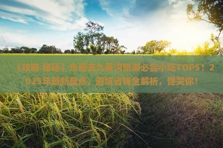东营到四川九寨沟旅游小吃