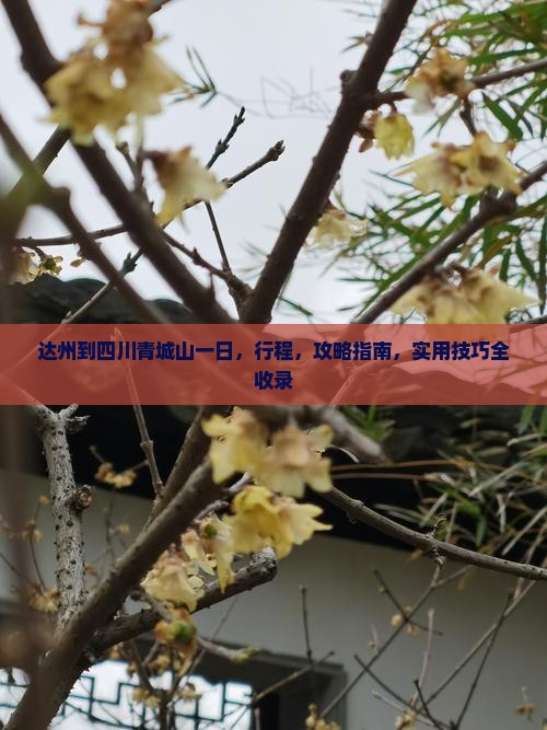 达州到四川青城山一日