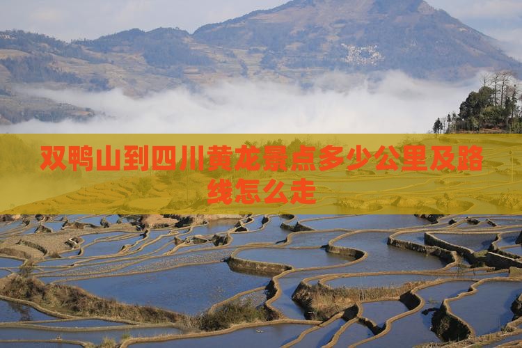 双鸭山到四川黄龙景点