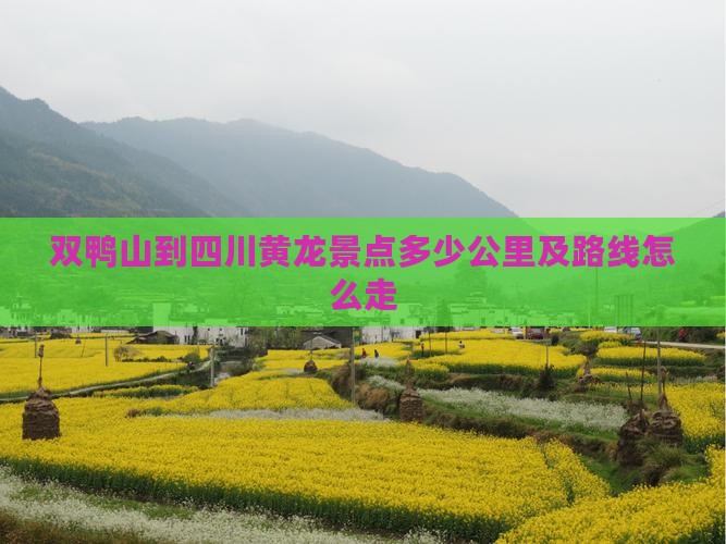 双鸭山到四川黄龙景点
