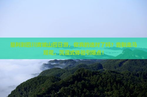 垦利到四川青城山四日游
