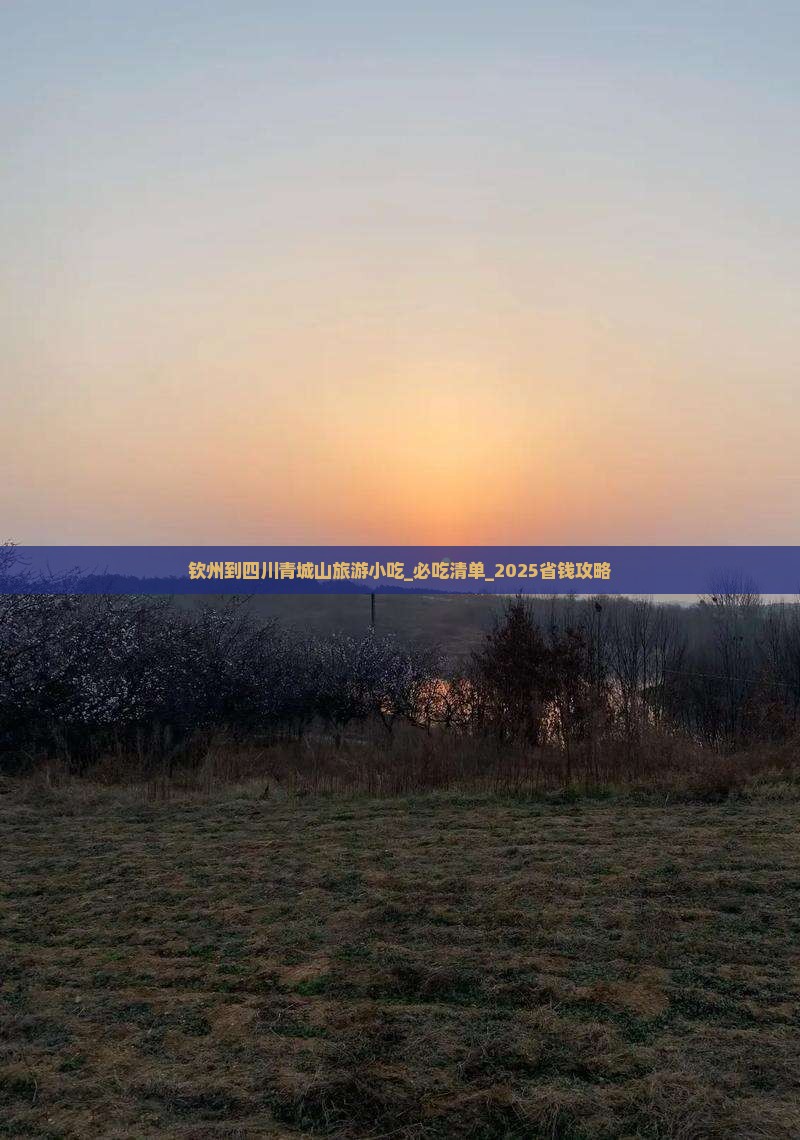钦州到四川青城山旅游小吃