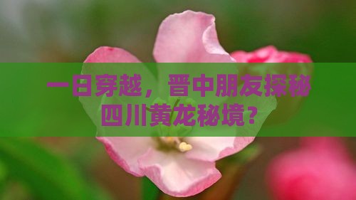 一日穿越，晋中朋友探秘四川黄龙秘境？