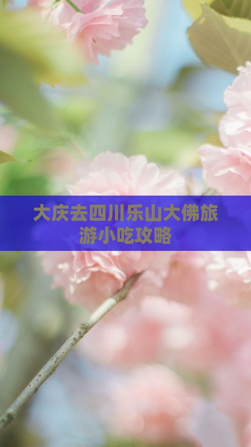 大庆去四川乐山大佛旅游小吃攻略