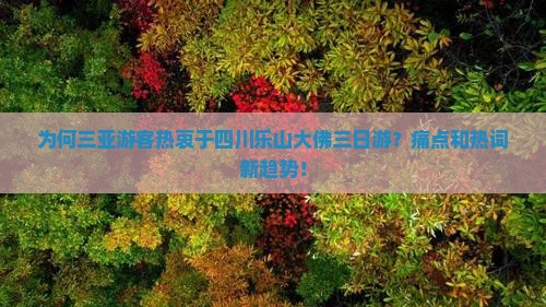 为何三亚游客热衷于四川乐山大佛三日游？痛点和热词新趋势！