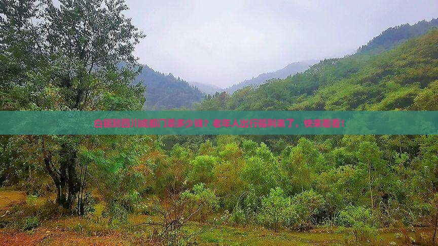 白银到四川成都门票多少钱？老年人出行福利来了，快来看看！