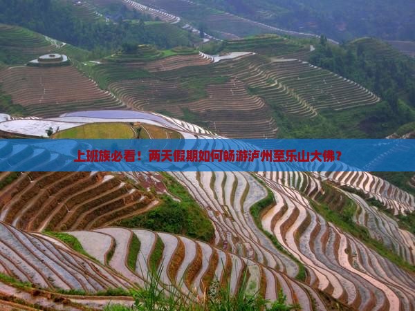 上班族必看！两天假期如何畅游泸州至乐山大佛？