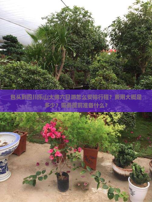 包头到四川乐山大佛六日游怎么安排行程？费用大概是多少？需要提前准备什么？