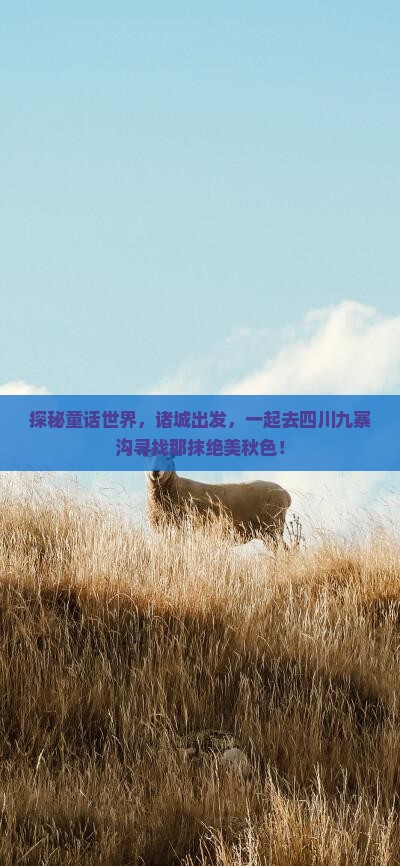 探秘童话世界，诸城出发，一起去四川九寨沟寻找那抹绝美秋色！