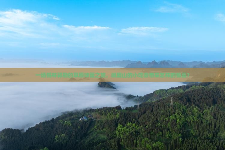 一场锡林郭勒的草原味蕾之旅，峨眉山的小吃会带来怎样的惊喜？