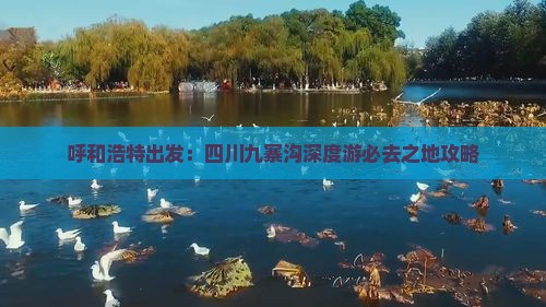 呼和浩特出发：四川九寨沟深度游必去之地攻略