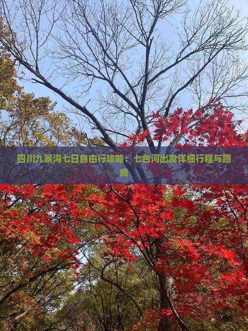 四川九寨沟七日自由行攻略：七台河出发详细行程与路线