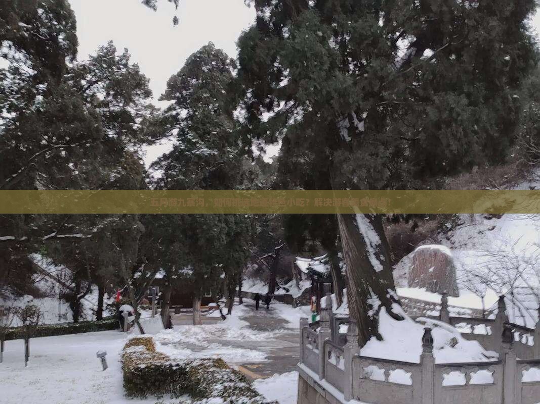五月游九寨沟，如何挑选地道特色小吃？解决游客美食痛点！