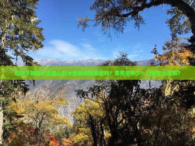 石河子到四川青城山的大型旅游团靠谱吗？费用是多少？行程怎么安排？