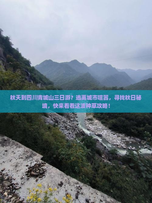 秋天到四川青城山三日游？逃离城市喧嚣，寻找秋日秘境，快来看看这波种草攻略！