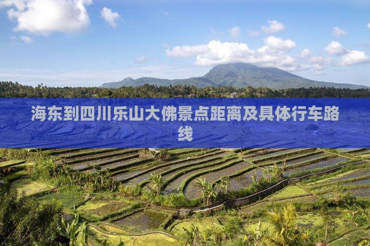 海东到四川乐山大佛景点距离及具体行车路线