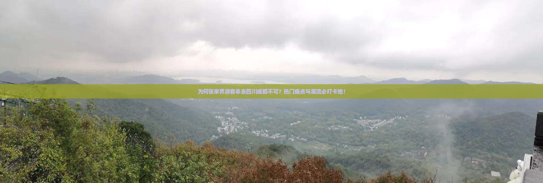 为何张家界游客非去四川成都不可？热门痛点与潮流必打卡地！