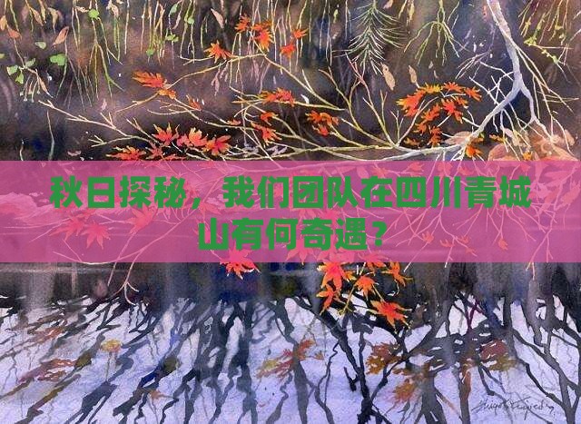 秋日探秘，我们团队在四川青城山有何奇遇？