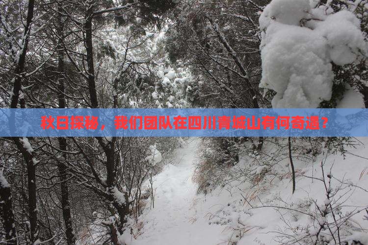 秋日探秘，我们团队在四川青城山有何奇遇？