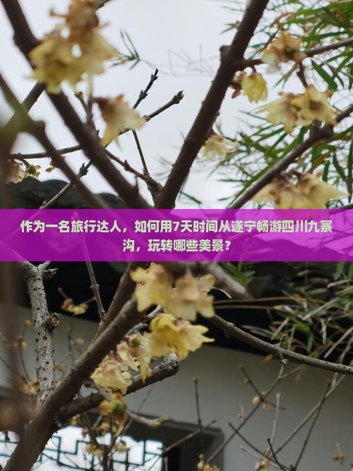 作为一名旅行达人，如何用7天时间从遂宁畅游四川九寨沟，玩转哪些美景？