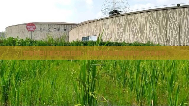 甘南到四川都江堰四日游：行程路线及两地旅游景点距离解析