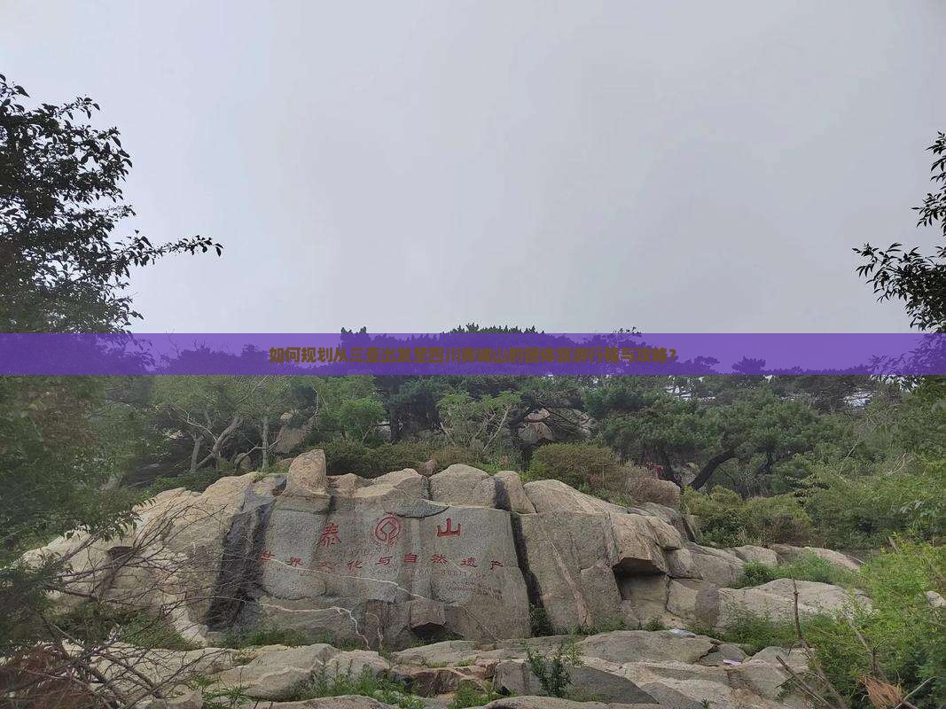 如何规划从三亚出发至四川青城山的团体旅游行程与攻略？