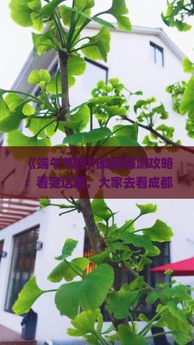 《端午节四川成都旅游攻略：看完这篇，大家去看成都十大景点，九寨沟等信息，四川旅游自由行必看指南》